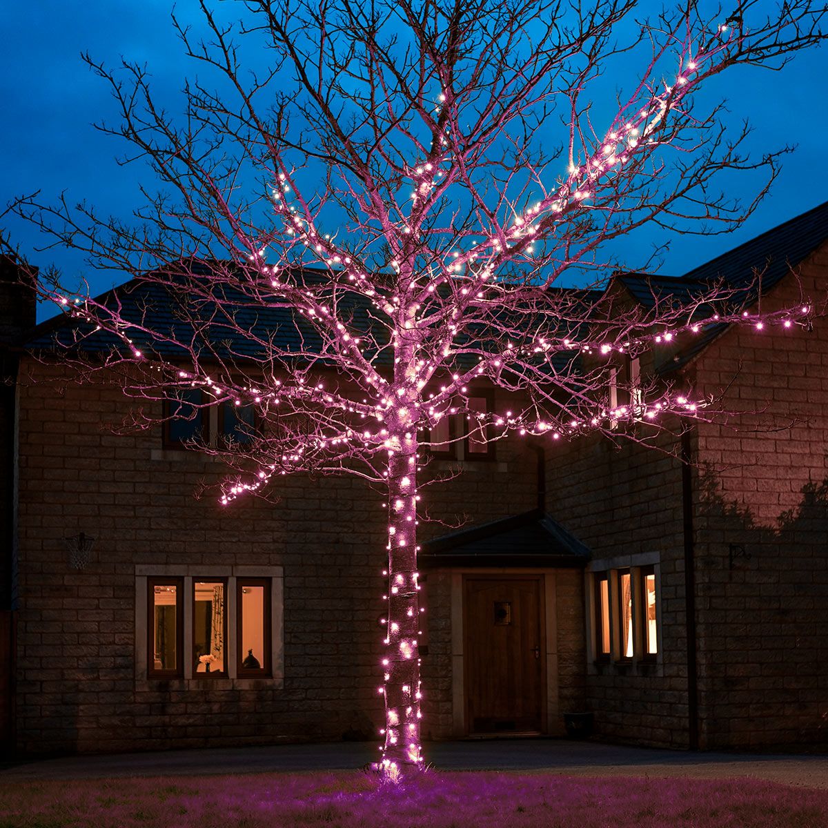 Christmas fairy deals lights outdoor